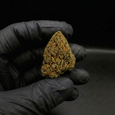 Flor Critical