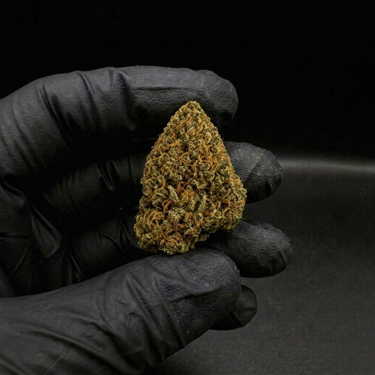 Flor Critical