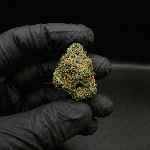 Flor Gelato 420