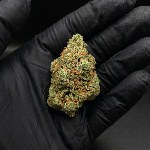Flor Haze Super Silver