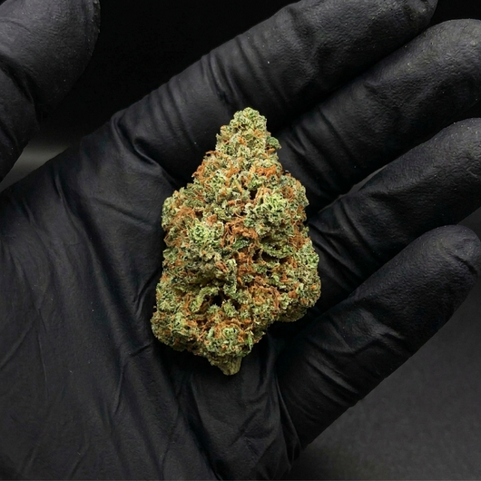 Flor Haze Super Silver