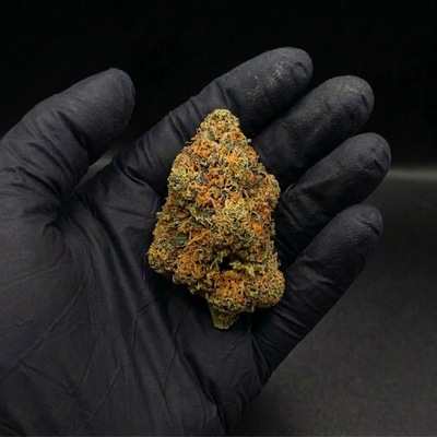 Flor Berry Blueberry